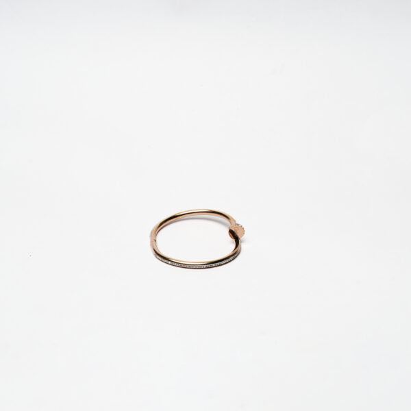 PALET DIVA ANTITARNISH EARRING